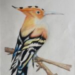 Childrens Arkwork thailand bird12