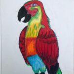 Childrens Arkwork thailand bird3