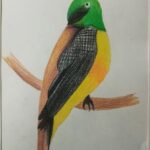 Childrens Arkwork thailand bird8